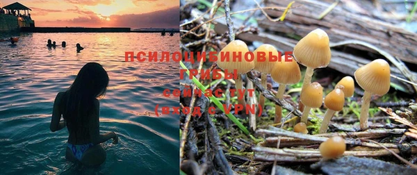 тгк Волоколамск