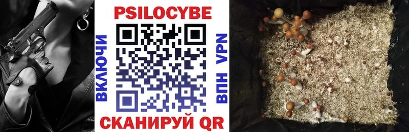 Купить  Почеп  Псилоцибиновые грибы мухоморы 
